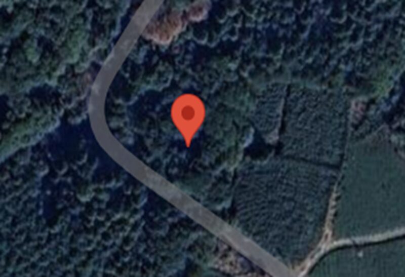 静岡県島田市（山林）の地図